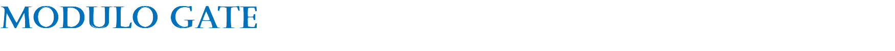 modulo gate